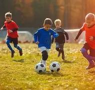 孔帕尼揭秘,瓜迪奥拉真,传助阿尔特,凯发娱乐官网,凯发娱乐官网入口,凯发娱乐网站,凯发娱乐,凯发娱乐登录入口